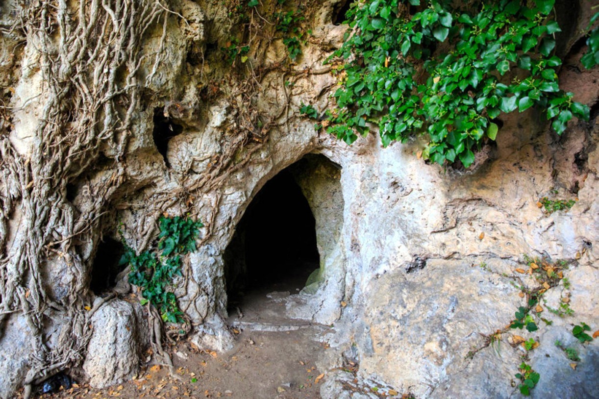 Dragon Cave